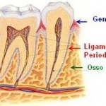 Periodontia - Siga Ortodontia e Implantes - DF