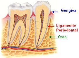 Periodontia - Siga Ortodontia e Implantes - DF